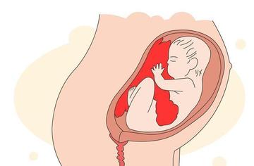 胎儿停育有什么症状？