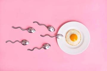 卵泡穿刺术怀孕成功几率多大？