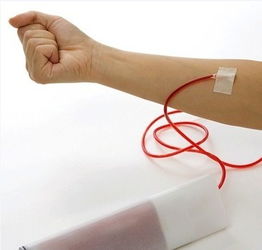 血型检查注意事项有哪些？