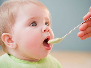 婴儿辅食的种类有哪些？