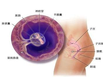 æå­ç¬¬7å¨èå¿åè²