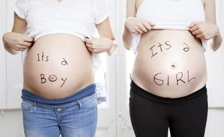 孕期反应轻重可以预测生男生女吗？