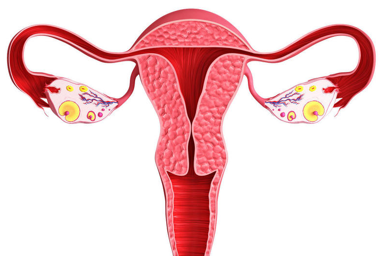 子宫卵巢出现问题有下面这些症状，一定要注意