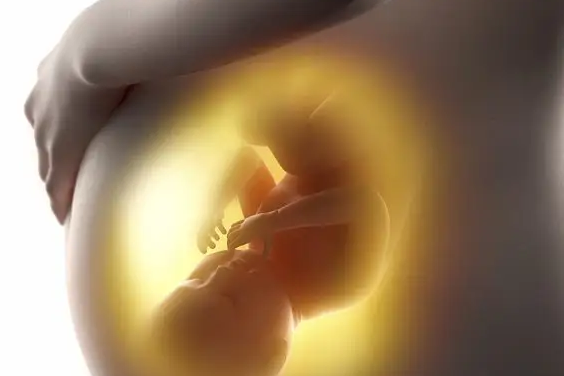 胚胎的質量是好還是不好是由什么因素決定的？