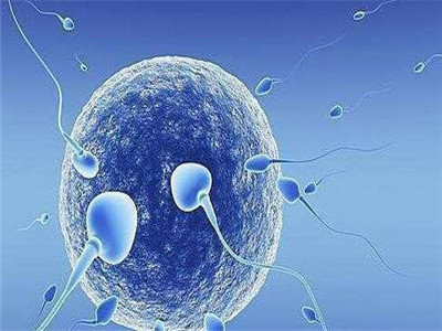 孕期性生活的好处是什么 该注意什么