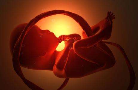 如何避免试管胚胎出现停止发育的情况？