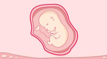 胚胎停育的治疗方法有哪些？