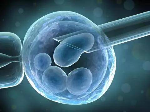 如何孕育聪明的宝宝 孕期靠谱的胎教方法有哪些