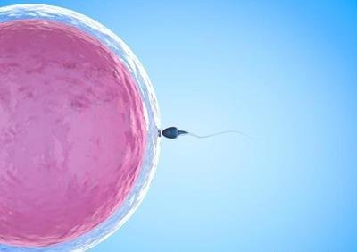 为什么鲜胚移植一周左右很容易生化？