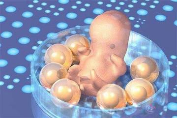冷冻的胚胎可以第二次试管移植吗？