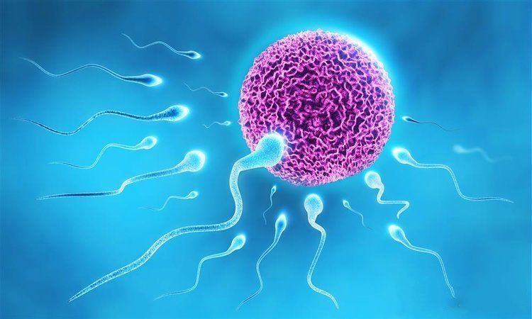 什么原因导致卵巢早衰？