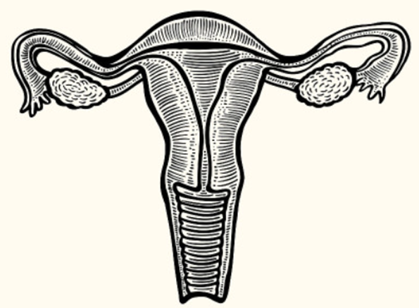 多囊卵巢样改变是什么意思，要怎么应对