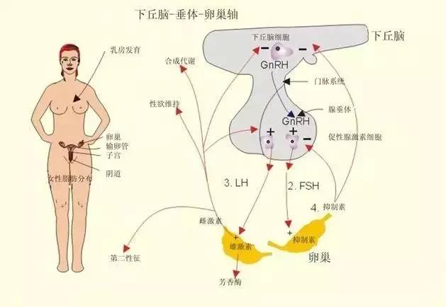 破腹产胎盘粘连是什么原因？