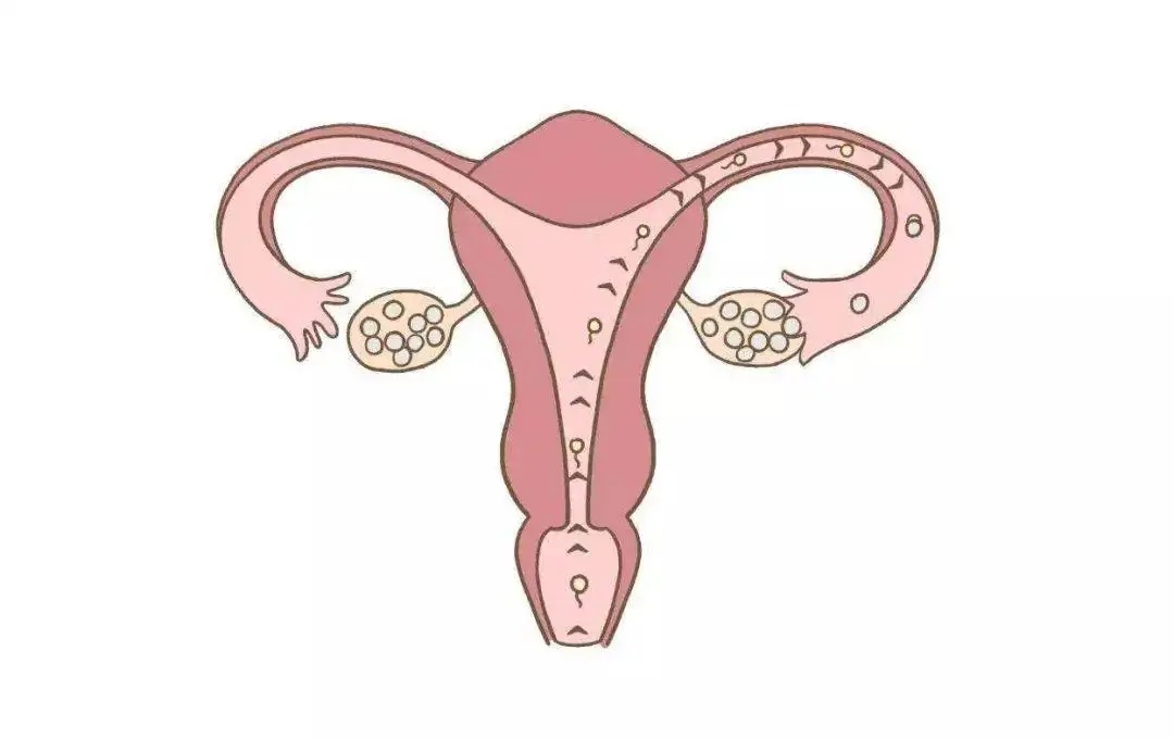 輸卵管性不孕的病因你知道多少呢？