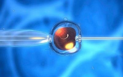 三代试管移植桑葚胚胎的成功率高吗？移植后几天能着床？