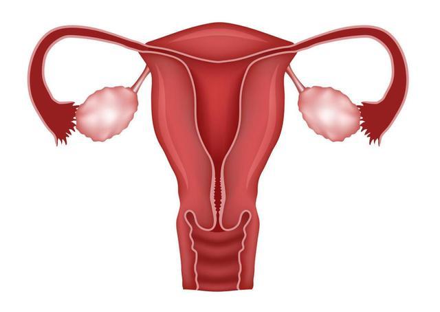 输卵管结核是什么？
