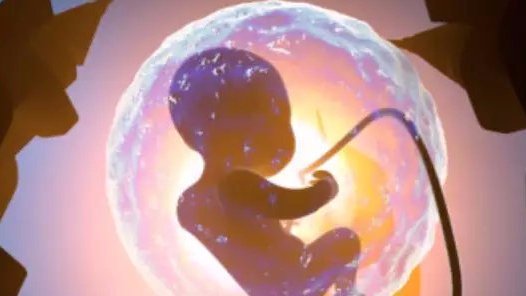 为什么优质胚胎养不成囊？
