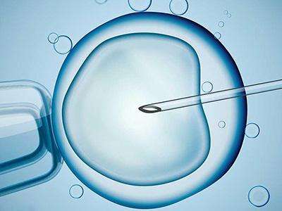 防范胎儿发育异常需要做好哪些检查